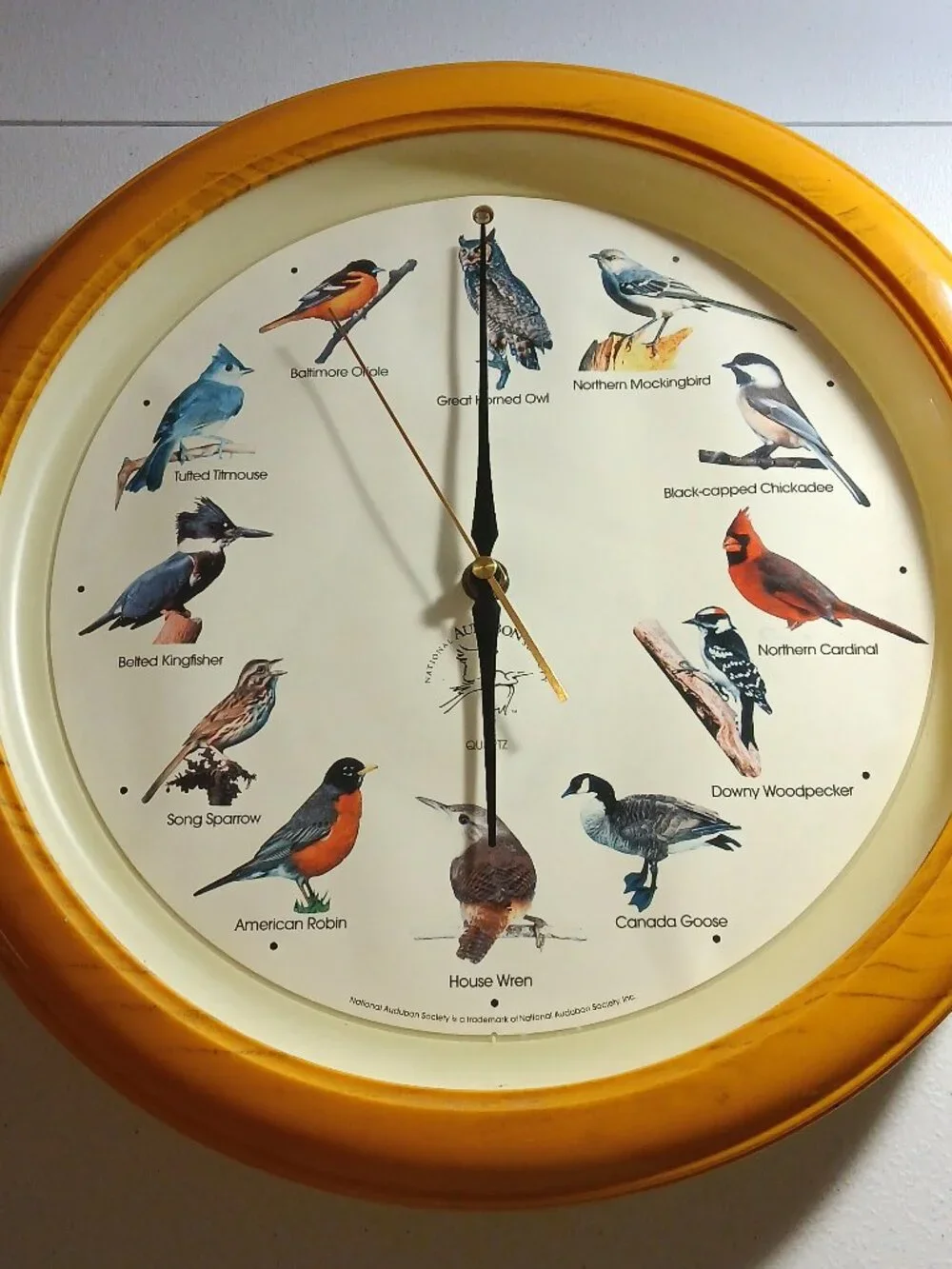 House Wren Singing Bird Clock